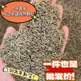 2025年新疆孜然颗粒产地直销烧烤食用原料孜然粉调料500克包邮商