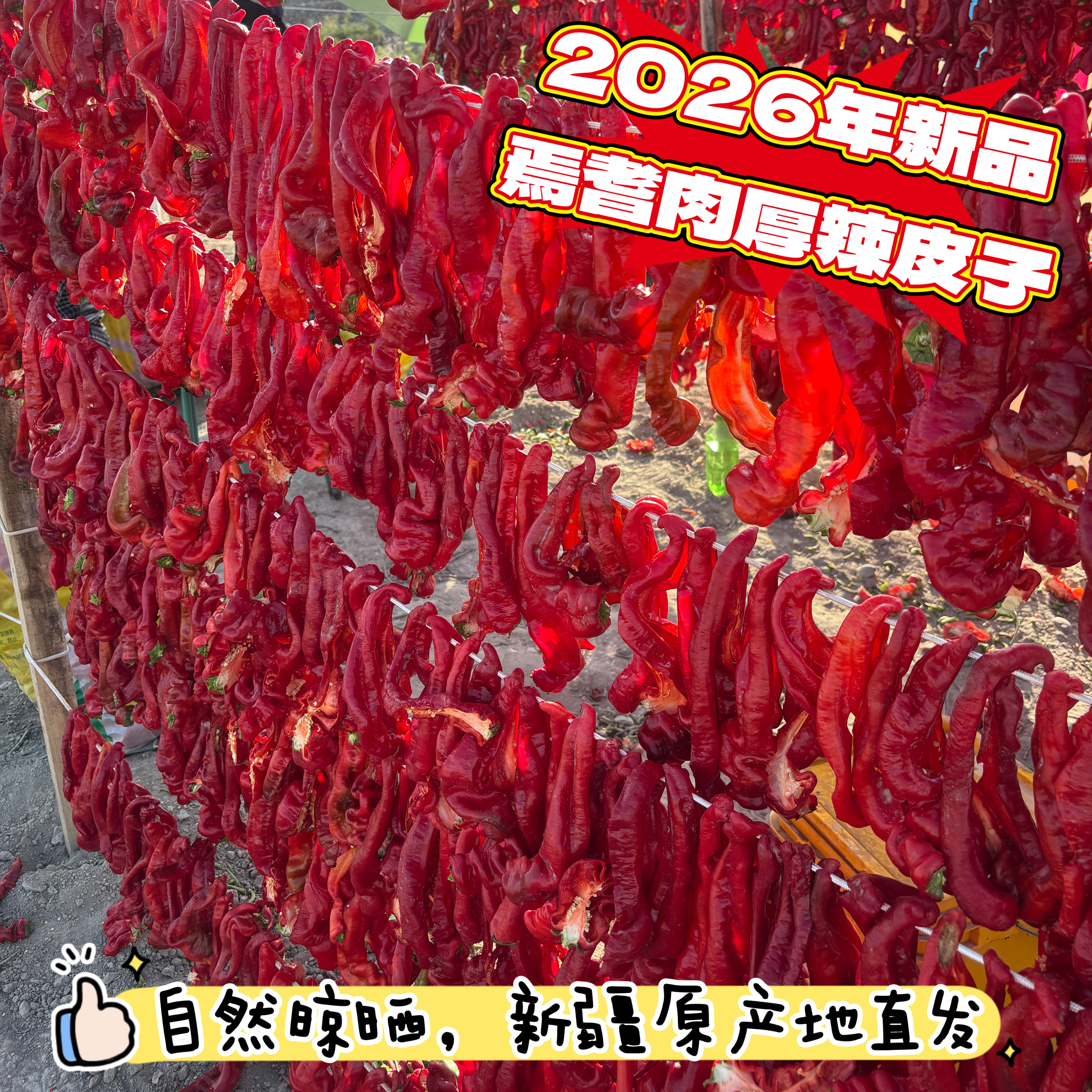 2026年新疆焉耆博湖辣皮子新品上市肉辣椒自然晾晒猪大肠产地包邮