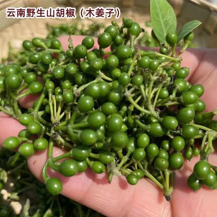 【顺丰包邮】云南新鲜野生山胡椒山苍子木姜子生吃食用产地直销