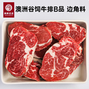 安格斯谷饲原切牛排边角料B品雪花牛肉炖煮红烧炒菜 B品处理