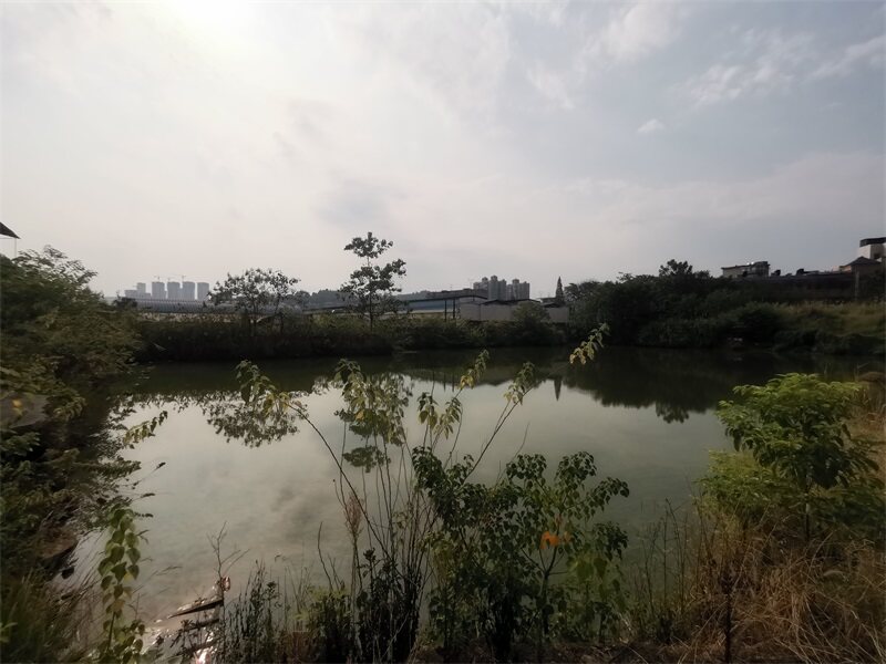 5月26日郴州市开发区万华大道一宗工业用地及土地附着物网络拍卖公告