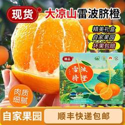 四川大凉山雷波脐橙现摘现发新鲜水果香甜口爆汁5斤9斤19斤礼盒装