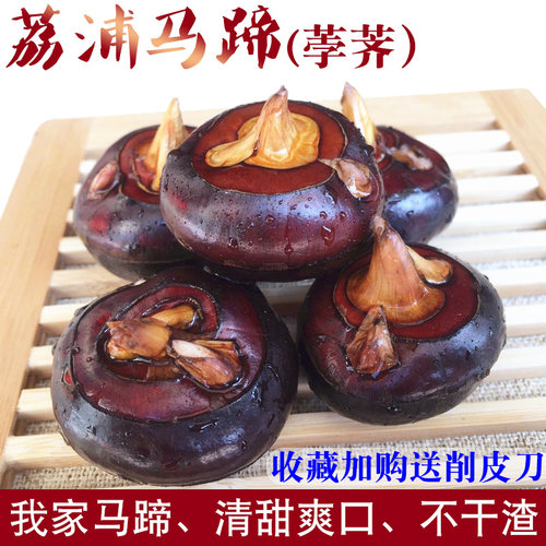 荔浦马蹄荸荠新鲜水果
