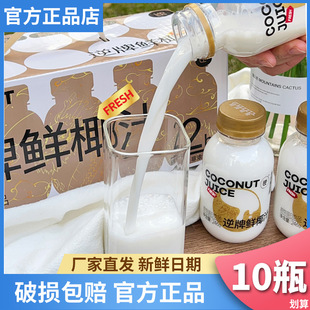 逆牌鲜椰汁椰子汁椰子水椰浆鲜榨椰奶喜庆新年装 送礼聚餐246g