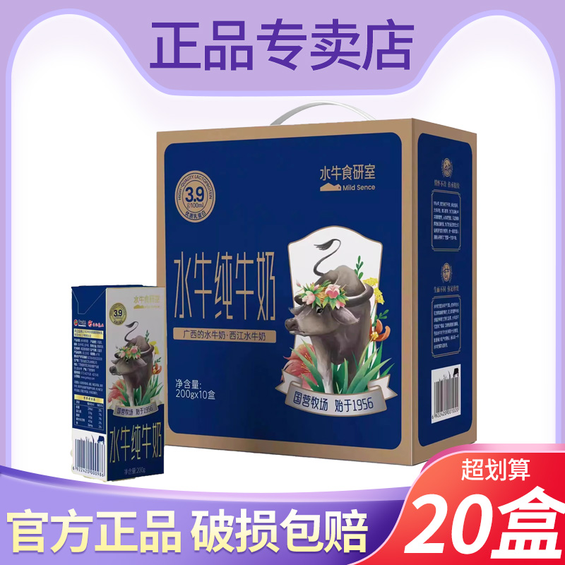 广西水牛纯牛奶农垦水牛食研室
