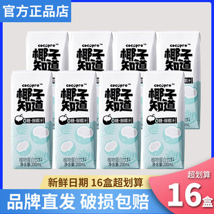 椰子知道0糖鲜椰汁椰奶官方正品 9瓶 店生椰拿铁植物蛋白饮料200ml
