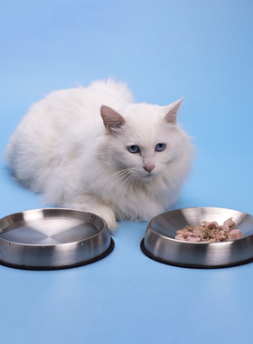 Dr. Catsby's「保护胡须」猫碗｜美亚热销｜不锈钢｜无死角｜ibc