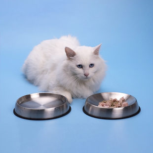 Dr. s「保护胡须」猫碗｜美亚热销｜不锈钢｜无死角｜ibc Catsby