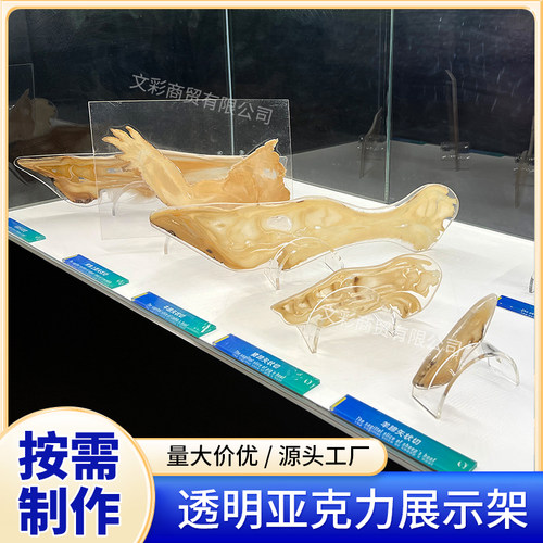 亚克力透明骨骼切片标本展示架