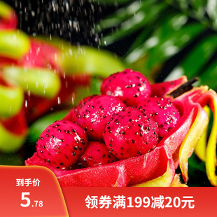 红龙果水果种籽 红心火龙果种子 姿秀水果种子 青龙果红皮火龙果