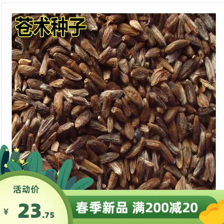 新采药材种子 金线莲种子 南 北苍术丹参党参柴胡桔梗板蓝根种子