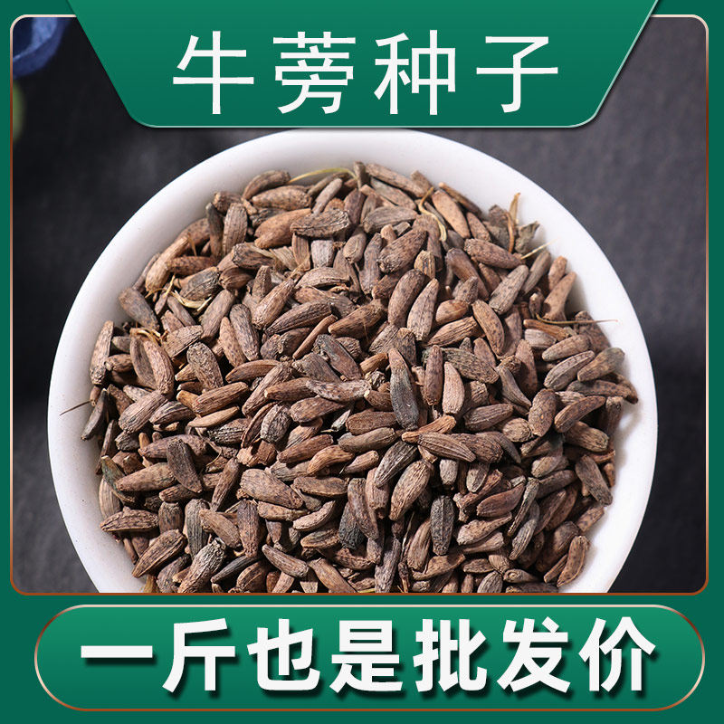 牛蒡种子散装优质牛大力药材种子种植苗野生细叶500g春季秋季种植