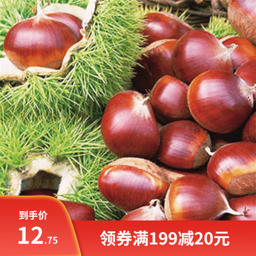 果树苗板接树苗嫁栗板栗苗种红袍板栗栗子树苗南北方大植当年结果