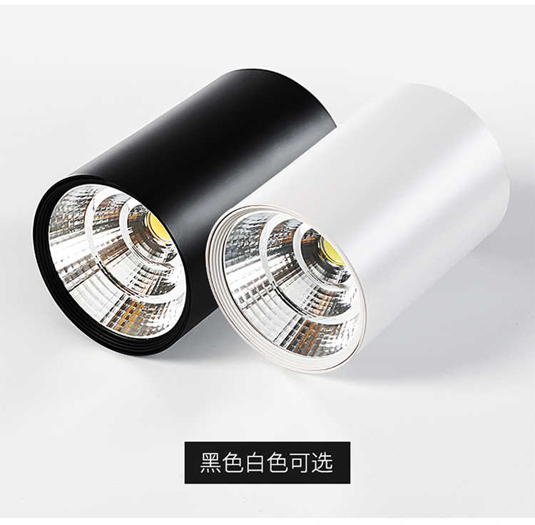 led明装背景墙客厅圆形吸顶式