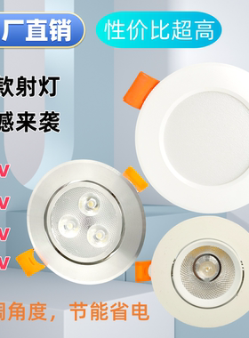 低压12V24VLED天花射灯嵌入式筒射灯船房车游艇电梯电瓶太阳能