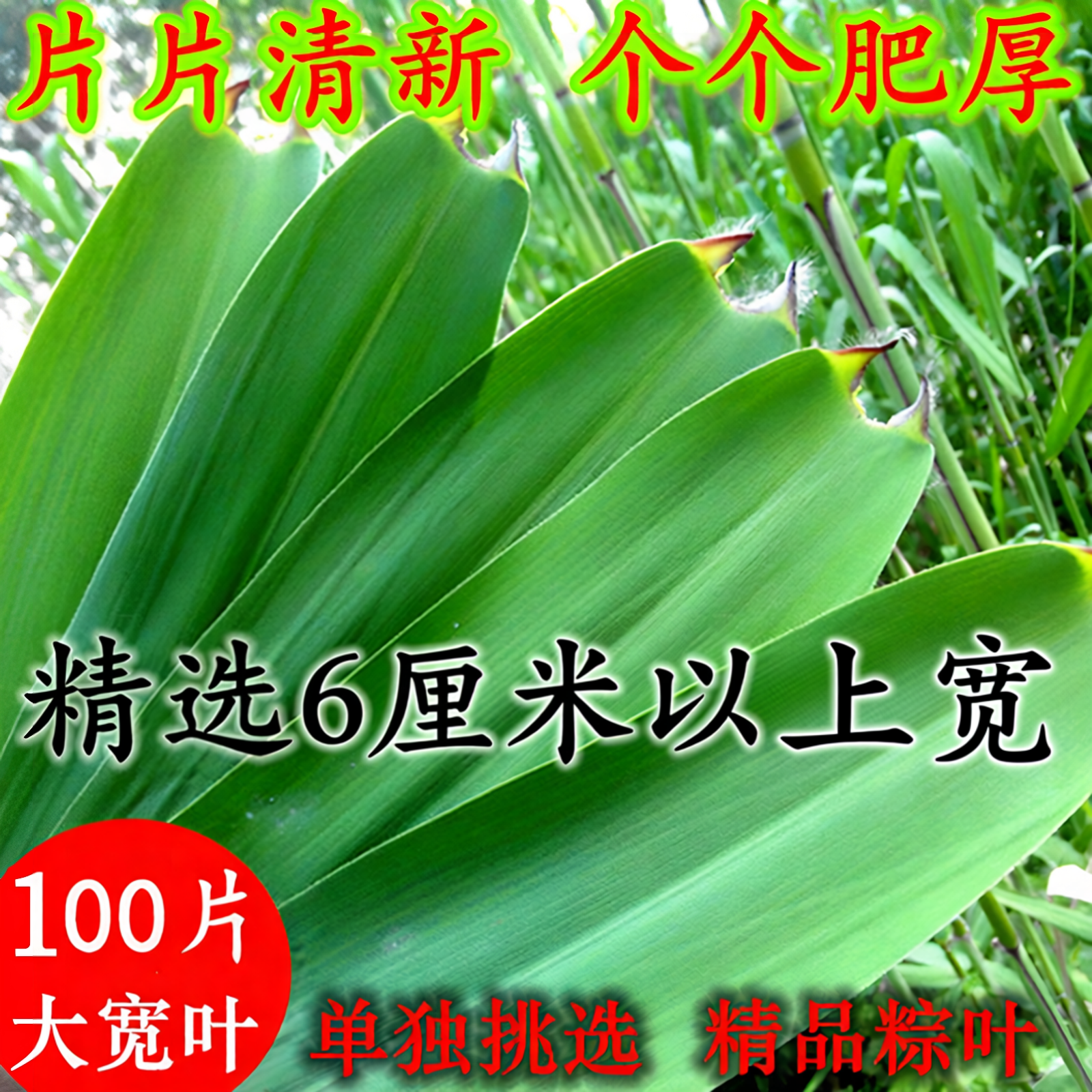 粽叶新鲜粽子叶特大号芦苇叶