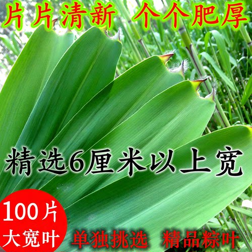 粽叶新鲜粽子叶特大号芦苇叶