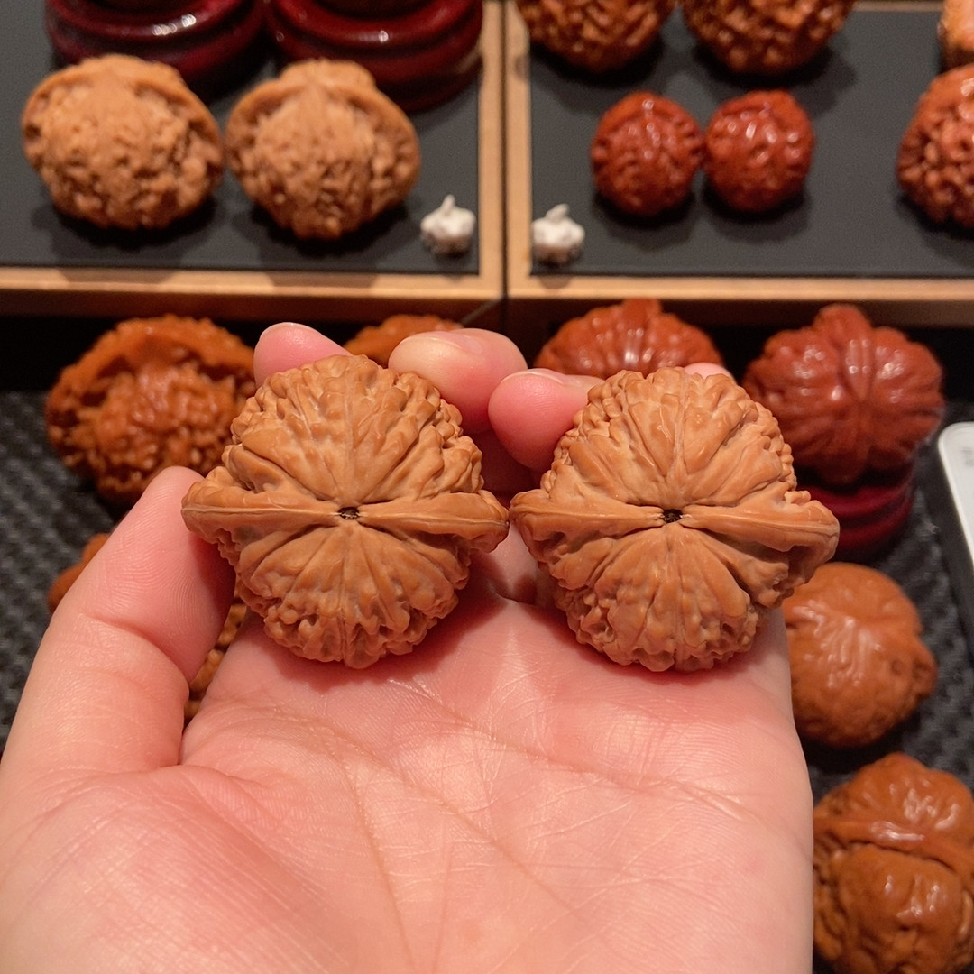 40.5莲花，野生（全品，骨质好，粉红皮）2166,餐饮具,茶杯,淘宝优惠券,粉丝福利购,淘宝优惠卷