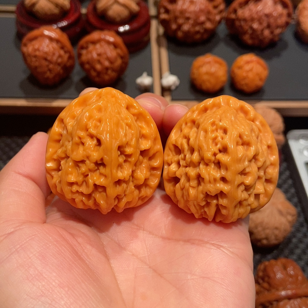 40南疆石 老树（炮弹桩 蚂蚁纹 骨质之王）b006198