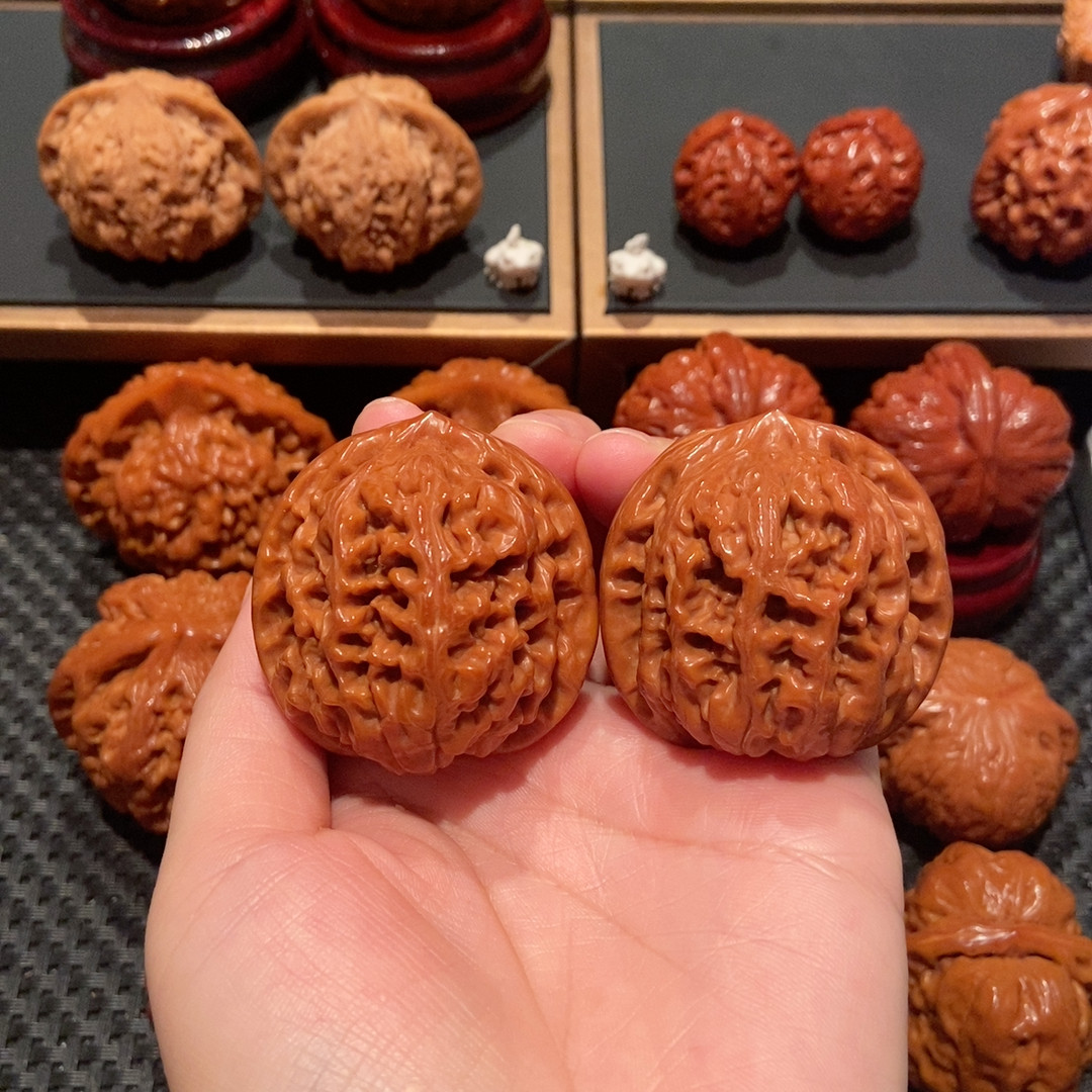 44凤凰台，野生（全家福，骨质扛把子，粉红皮，毕业对）2109,餐饮具,茶杯,淘宝优惠券,粉丝福利购,淘宝优惠卷