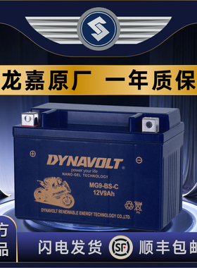 龙嘉V咖250 V途250 V霸250 龙嘉VMAX ie300 XDV250Si 蓄电池
