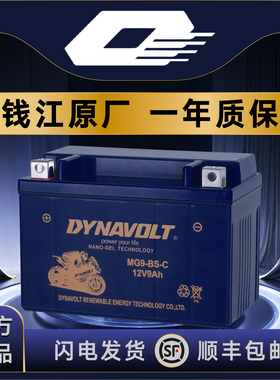 钱江QJ鸿125 鸿150ADV 鸿250 鸿350 踏板 猛狮12V通用摩托车电池