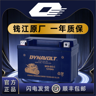 钱江QJ鸿125 鸿150ADV 鸿250 鸿350 踏板 猛狮12V通用摩托车电池