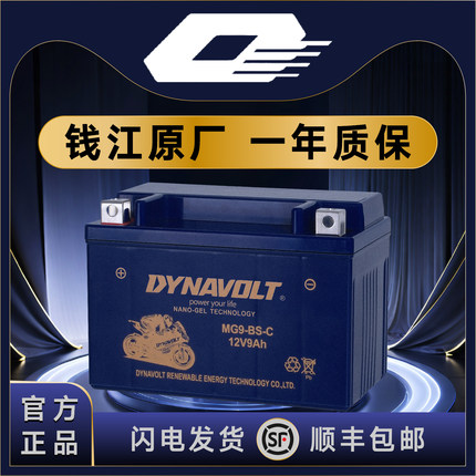 钱江QJ鸿125 鸿150ADV 鸿250 鸿350 踏板 猛狮12V通用摩托车电池