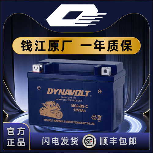 钱江QJ鸿125 鸿150ADV 鸿250 鸿350 踏板 猛狮12V通用摩托车电池