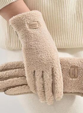 Imitation Teddy Hair Suede Women Winter Keep Warm Touch Scre