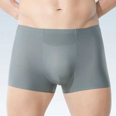 Men's Underwear Men's Ice Silk Seamless Boxer Briefs Antibac