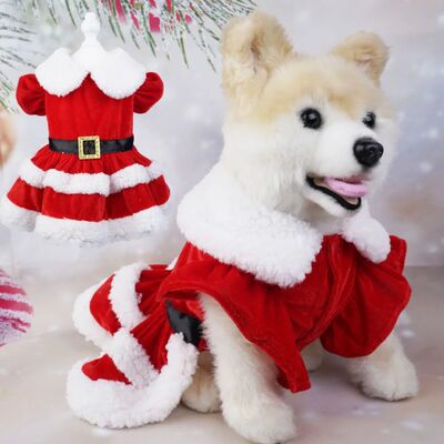 Pet Dog Clothes Christmas Day Party Santa Claus Dress Up Lit