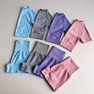 Crop Set Seamless Sleeve Fitness Short Top Yoga Shirts Runni