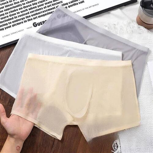 Sexy Ice Silk Men's Mesh Transparent Convex Pouch Underwear