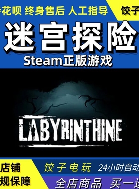 steam迷宫探险Labyrinthine在线合作恐怖PC中文正版可VR