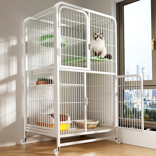 日本超大自由空间の猫别墅