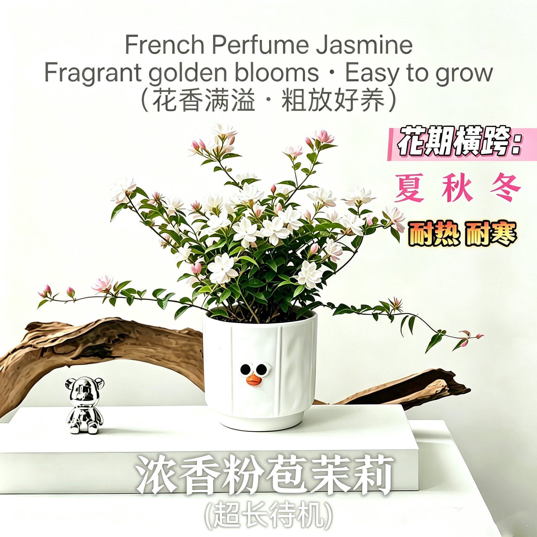 桌面绿植小盆栽小叶栀子花盆栽工位小绿植室内植物带花苞反复开花