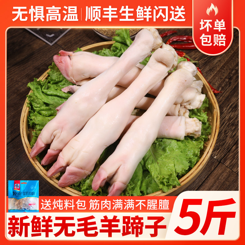 干净新鲜羊蹄子羊脚5斤内蒙古生冻商用带蹄筋小羔羊整只鲜冻无毛