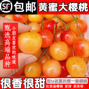 山东黄蜜大樱桃烟台黄水晶黄樱桃国产露天雷尼车厘子顺丰空运