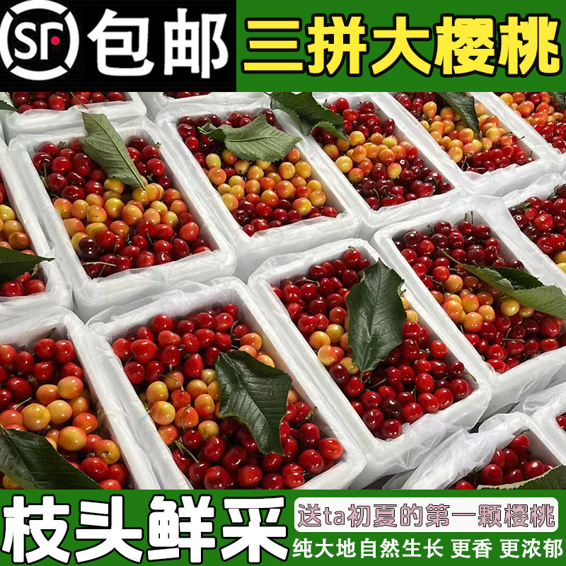 山东黄蜜大樱桃蜜甜烟台黄水晶黄樱桃国产露天雷尼车厘子顺丰空运