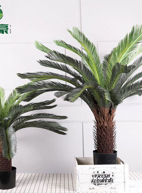 仿真大型苏铁植物盆栽假铁树客厅装饰绿植摆件落地仿生工艺苏铁树