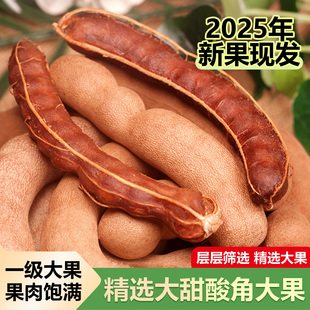 甜酸角云南特产新鲜野生大果罗望子酸角甜角孕妇零食酸豆角果脯