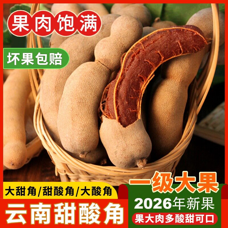 果司机酸角云南特产新鲜野生大甜角孕妇零食甜酸角酸枣糕罗望子