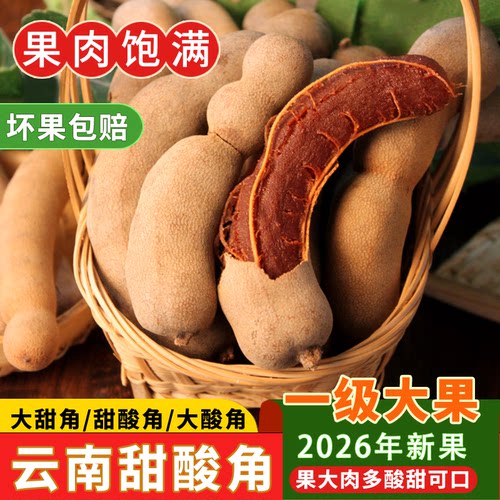 果司机甜酸角罗望子孕妇零食