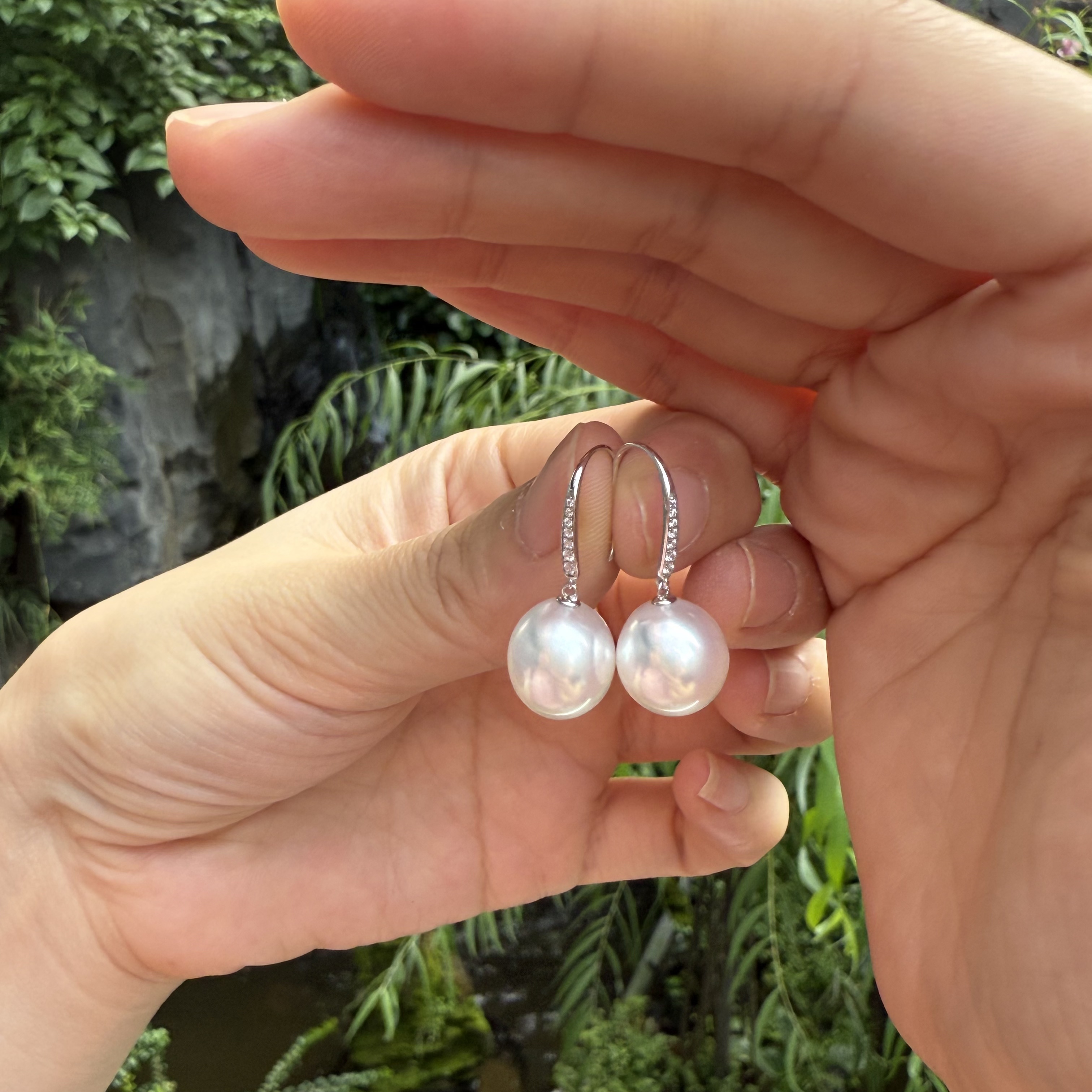 【澳白】18k金 11-12mm海水澳白珍珠耳钩 ZZED001