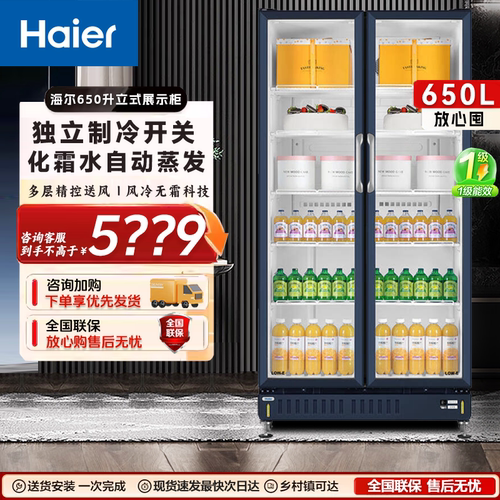 Haier/海尔 SC-650/607E/537E/302立式展示冷柜单温冷藏保鲜冰柜