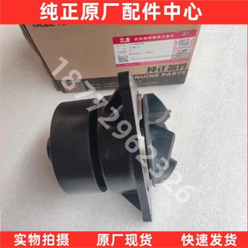 原厂康明斯L发动机水泵