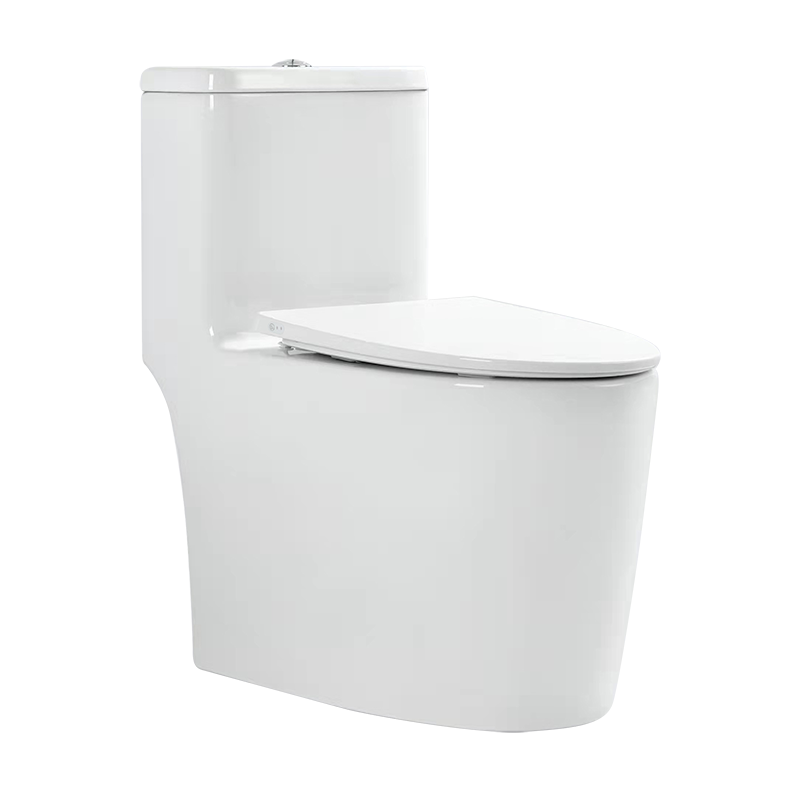 圣托玛斯WZN8008微智能一体坐便器