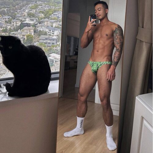 ADANNU一件代发源头工厂男士三角裤青年青年性感豹纹内裤男AD744