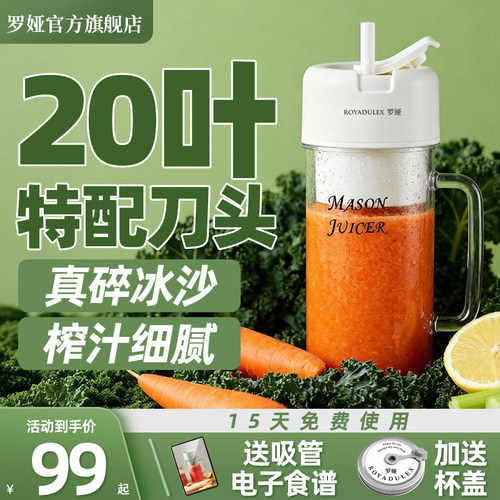 罗娅500ml榨汁机便携碎冰